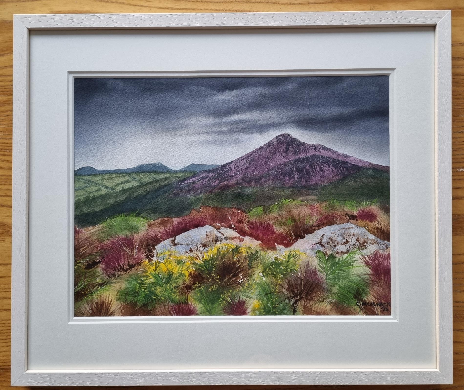 Carrigoona to Great Sugar Loaf